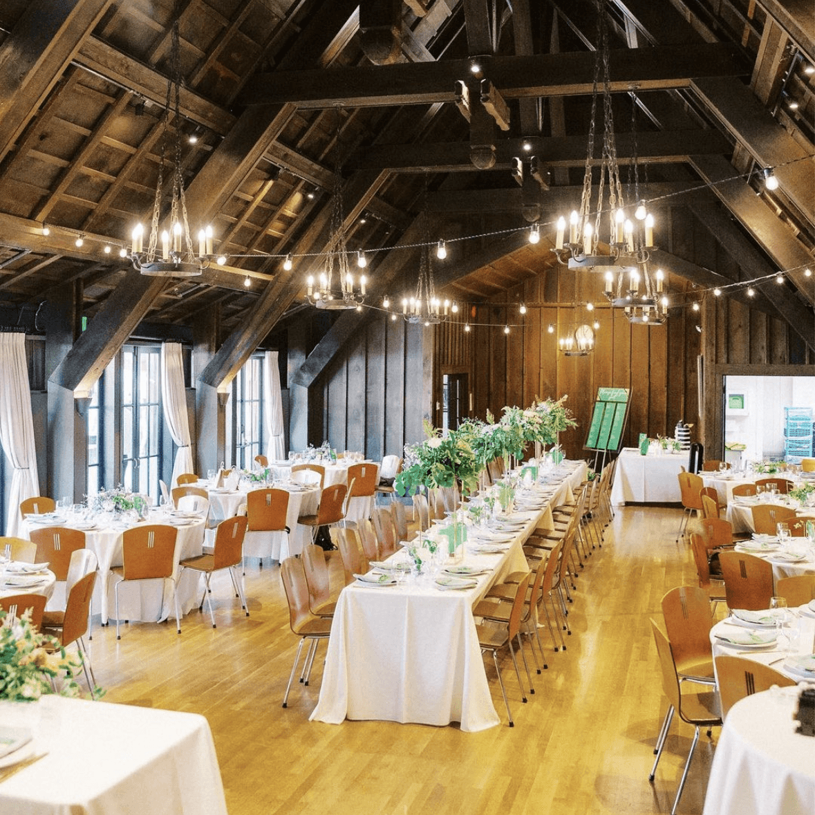 The Outdoor Art Club portfolio 4