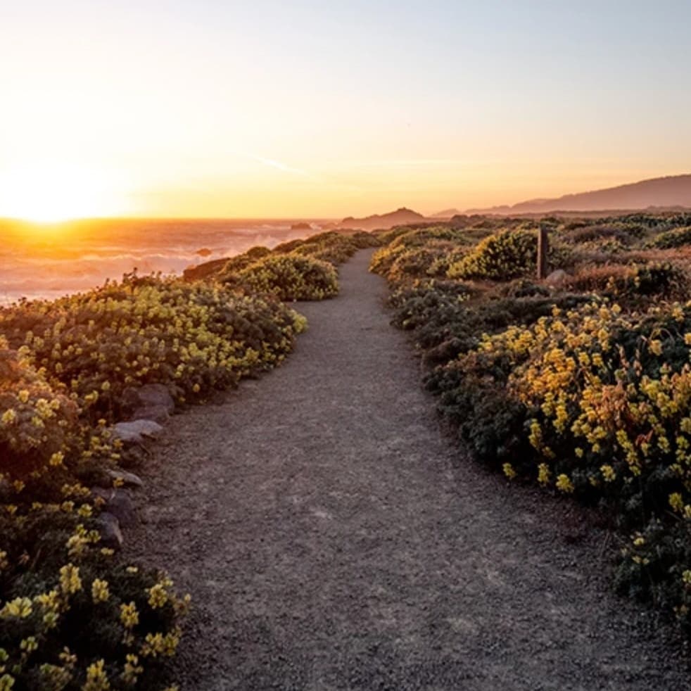 The Lodge at Bodega Bay portfolio 6