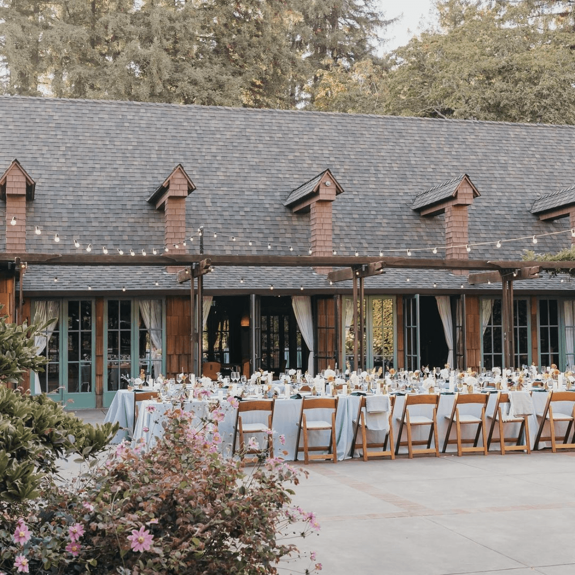 The Outdoor Art Club portfolio 2