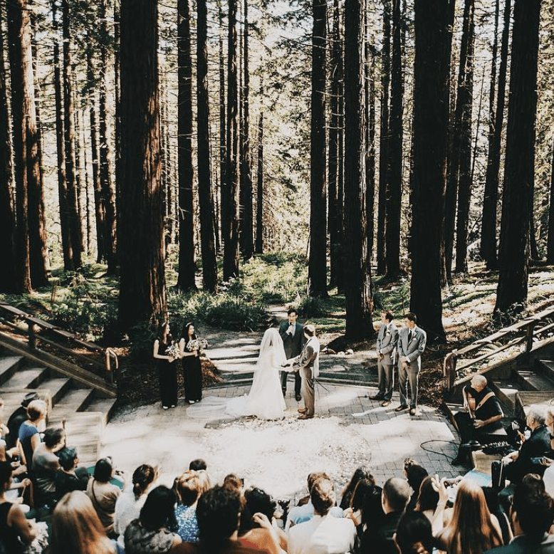 University of California Botanical Garden