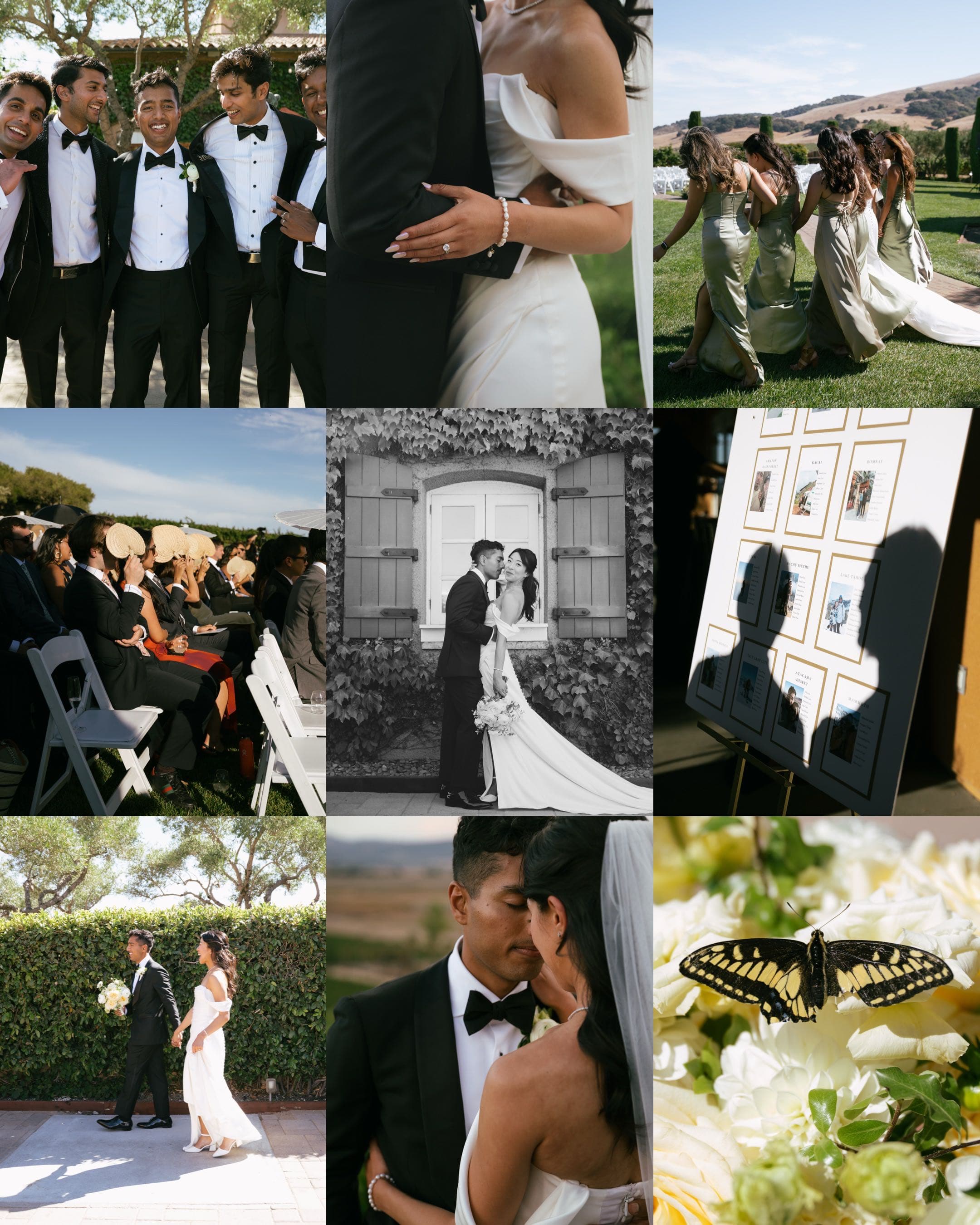 Rose Freedman Photography portfolio 5