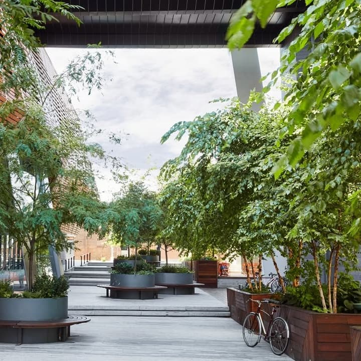 The William Vale portfolio 2