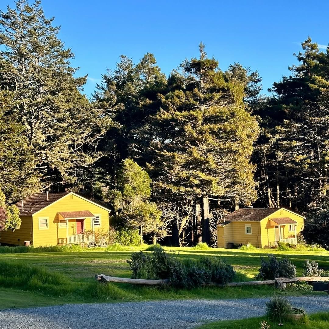 Mar Vista Celebration