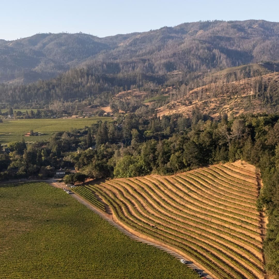 Beringer Vineyards portfolio 4