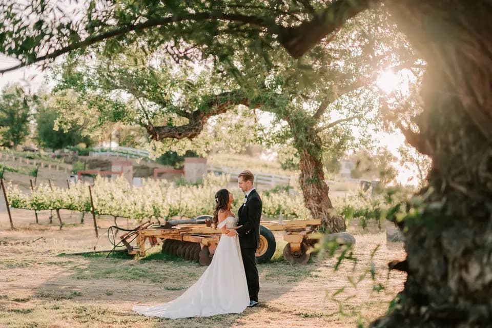 Lorimar Vineyards & Winery portfolio 2