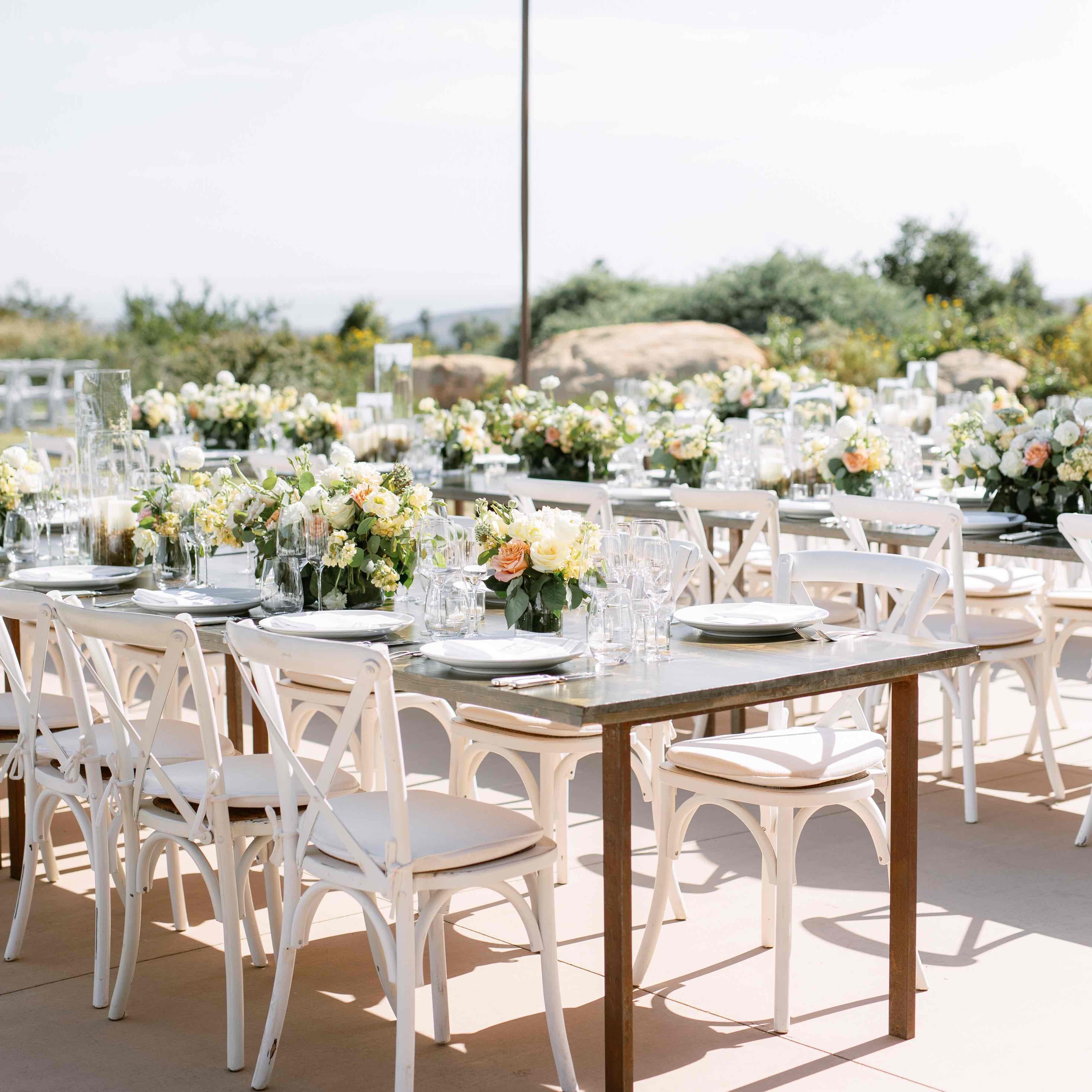 Santa Barbara Botanic Garden portfolio 3