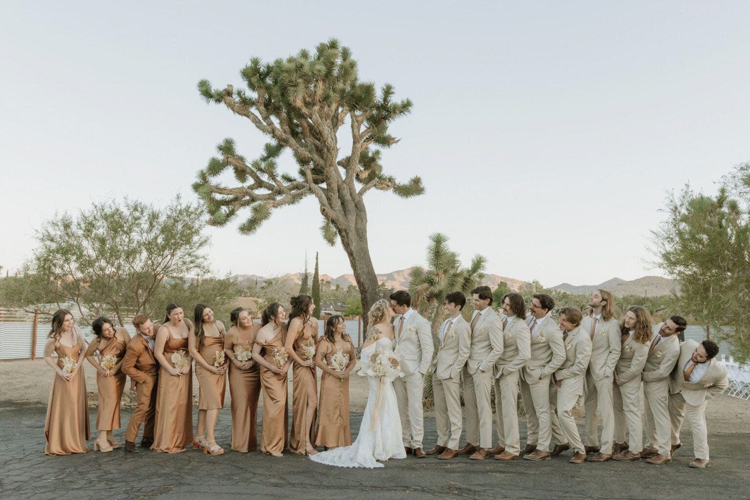Joshua Tree Wedding 5