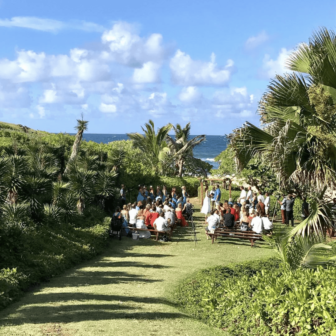 Na Aina Kai Botanical Garden & Sculpture Park portfolio 2