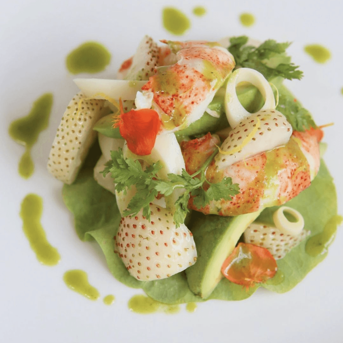 Chef Todd Fisher portfolio 6