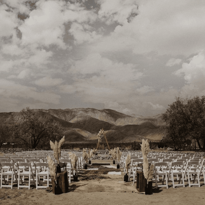 Penny Lane Ranch  portfolio 3