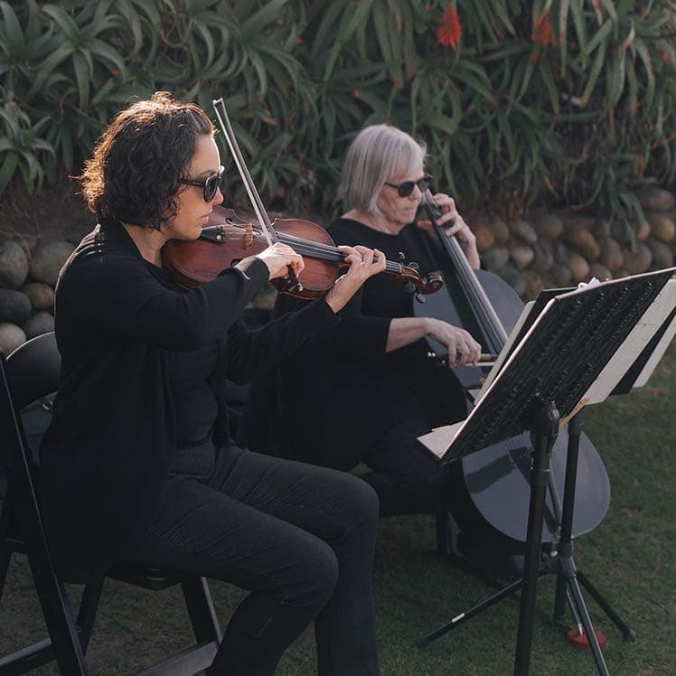 Vintage Strings | Ensembles & Soloists  