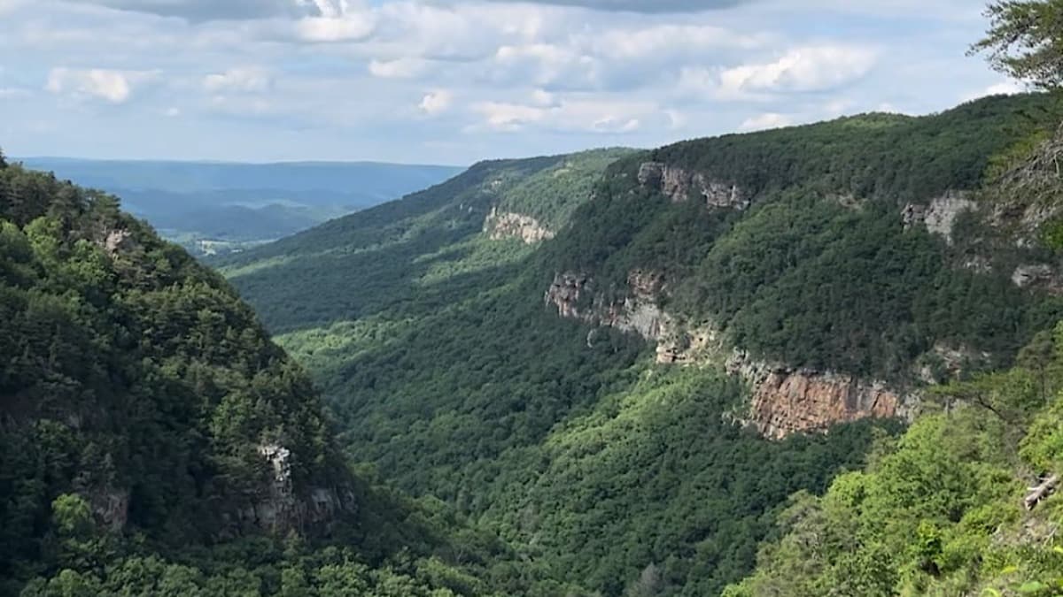 Cloudland Canyon State Park — Main Overlook