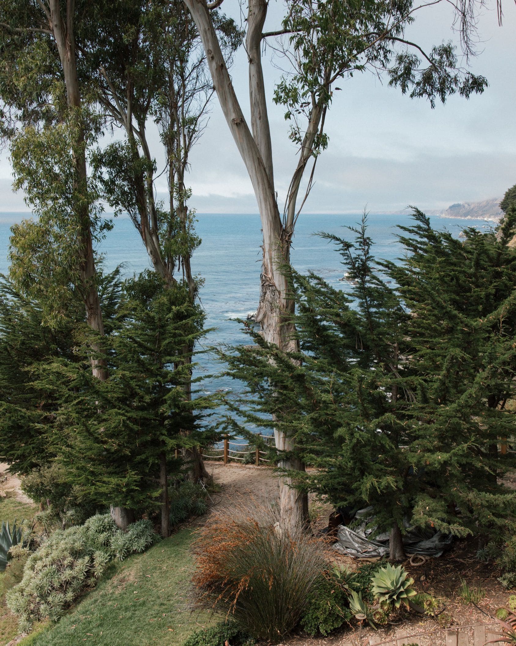 Sierra and Matthew’s Coastal Soirée 🌊 portfolio 10