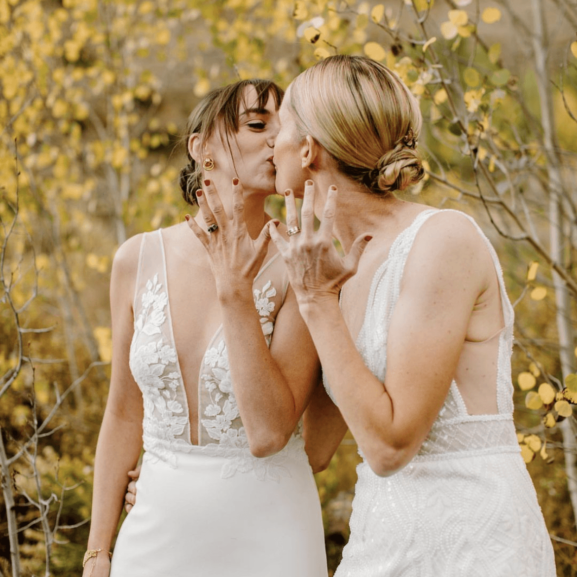 The Yarrow Collection 