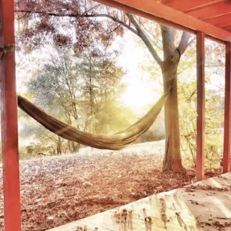 Stunning Yosemite Gold Rush Ranch House portfolio 4