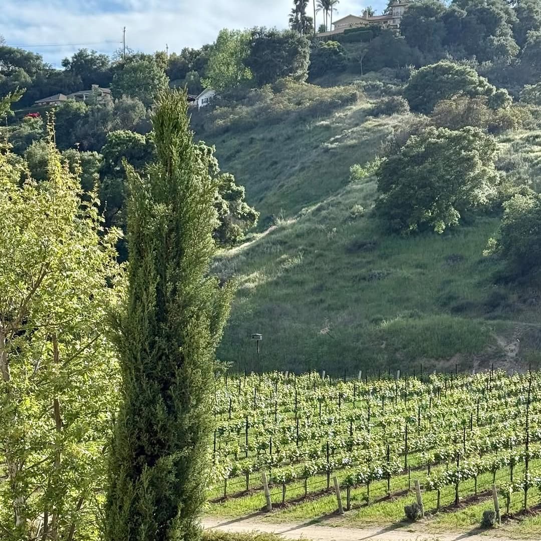 Monserate Winery