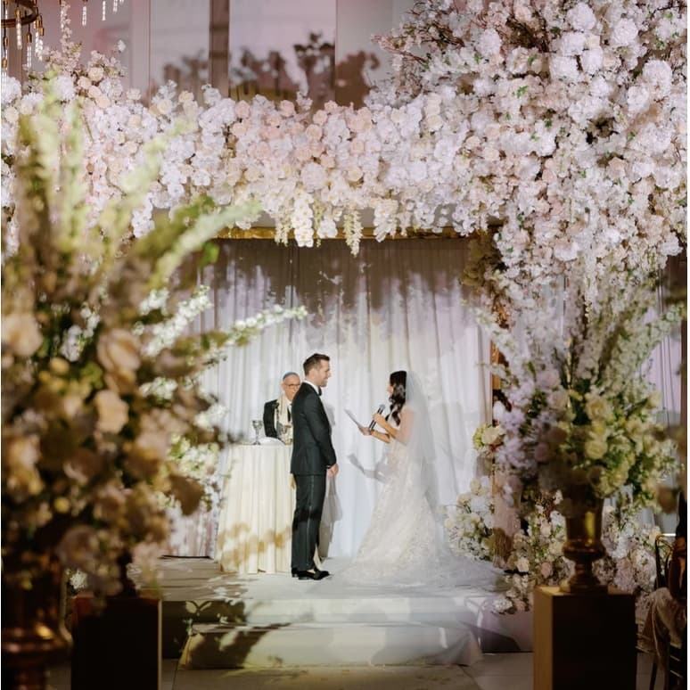 Arlo Williamsburg  portfolio 2