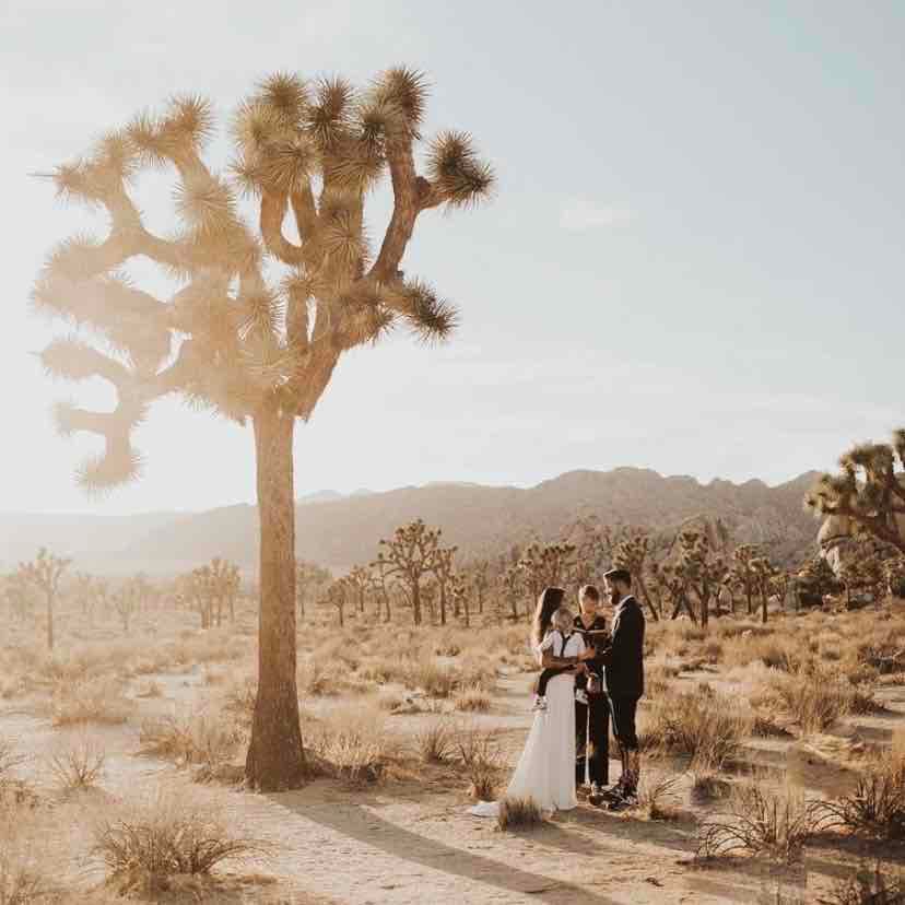 Joshua Tree Elopement