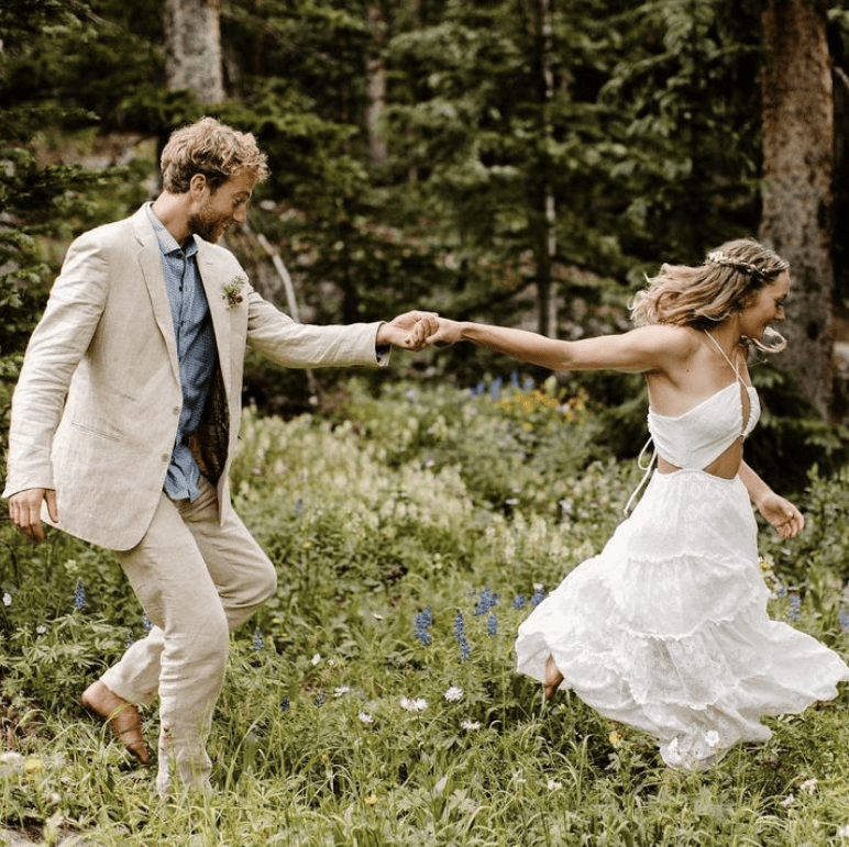 The Sunflower Collection 