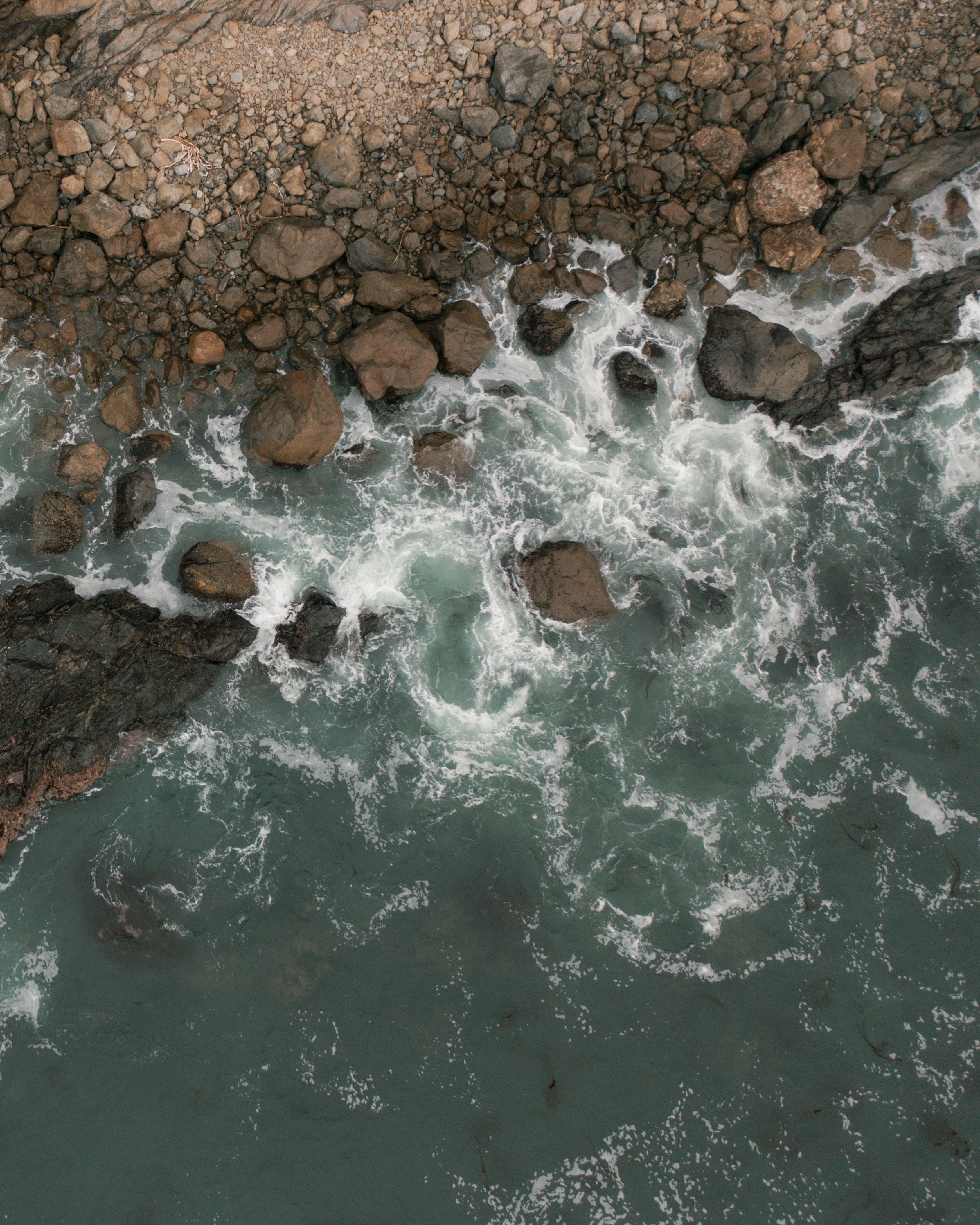 Sierra and Matthew’s Coastal Soirée 🌊 portfolio 12