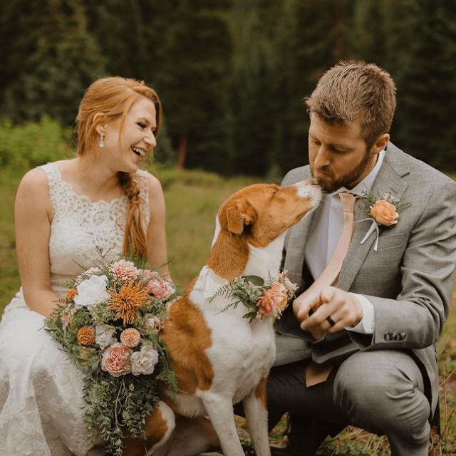 Blodgett Canyon Elopement  2