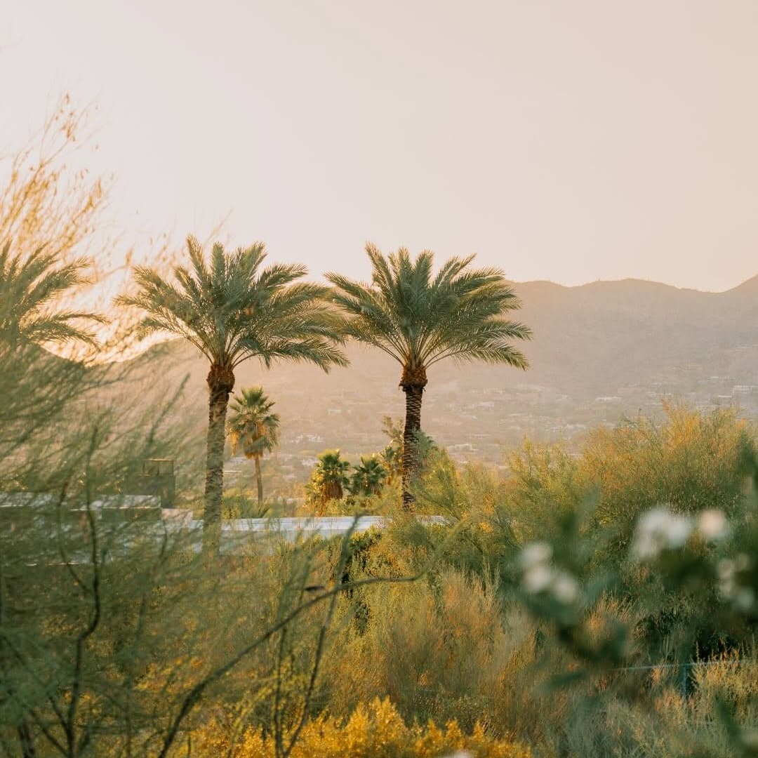 Sanctuary Camelback Mountain portfolio 5