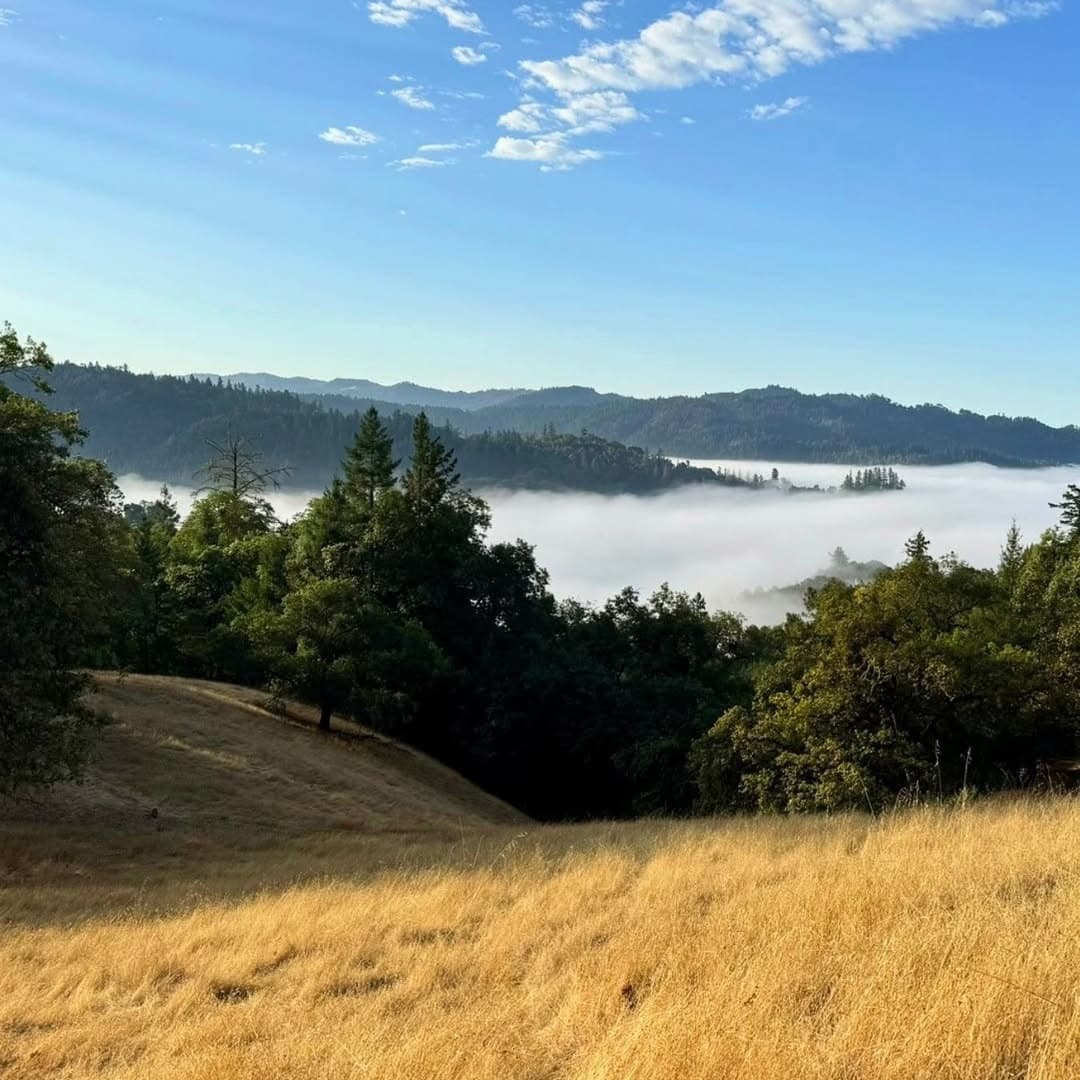 Whispertree portfolio 2