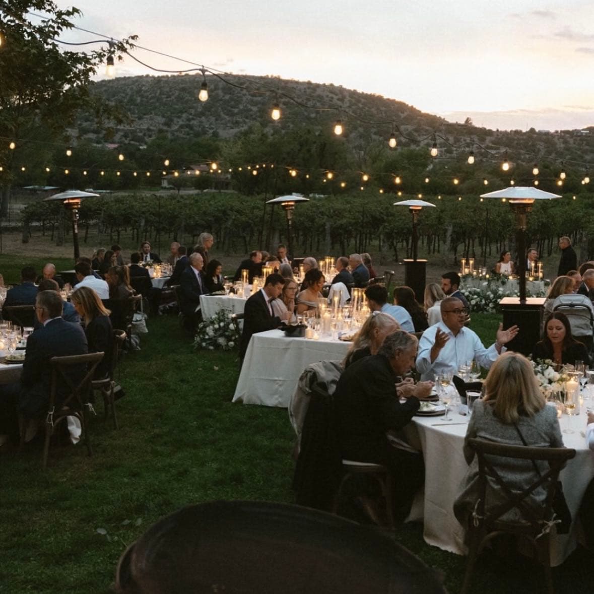 Melani Heldt Photography