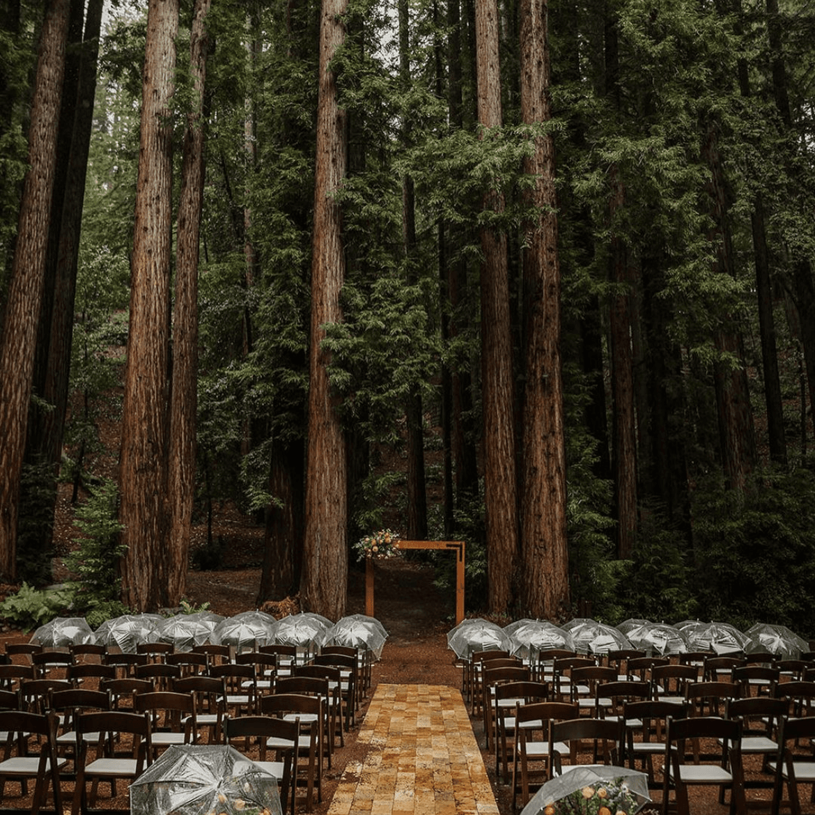 Alexis Party Rentals portfolio 4