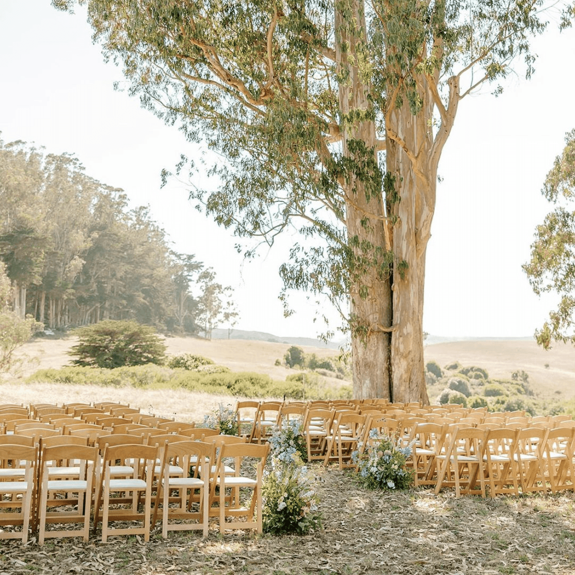 The Haven at Tomales portfolio 5