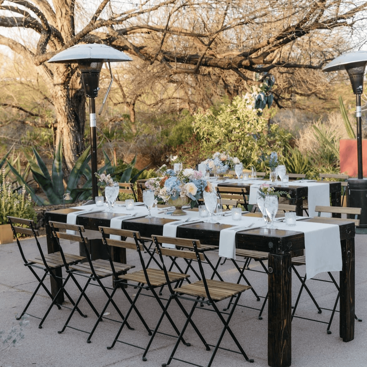 Desert Botanical Garden portfolio 3