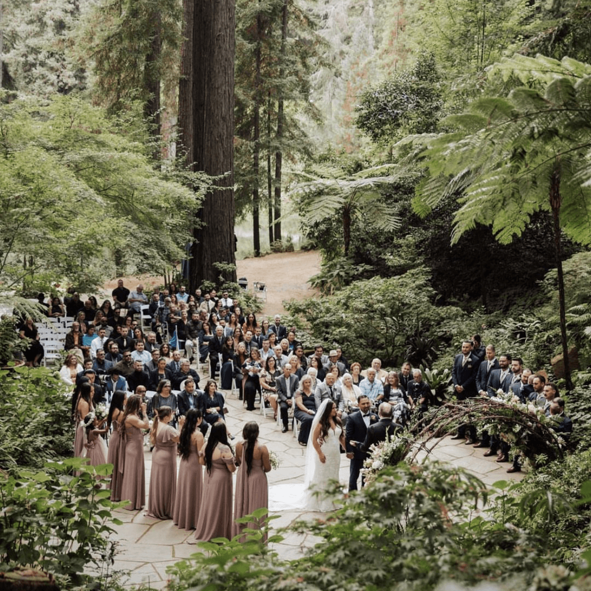 Nestldown portfolio 2