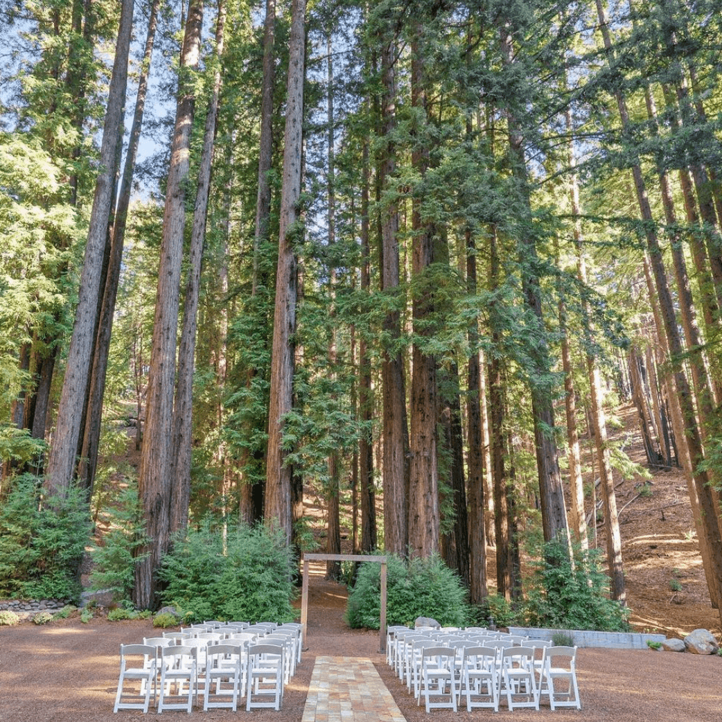 Waterfall Lodge and Retreat portfolio 4
