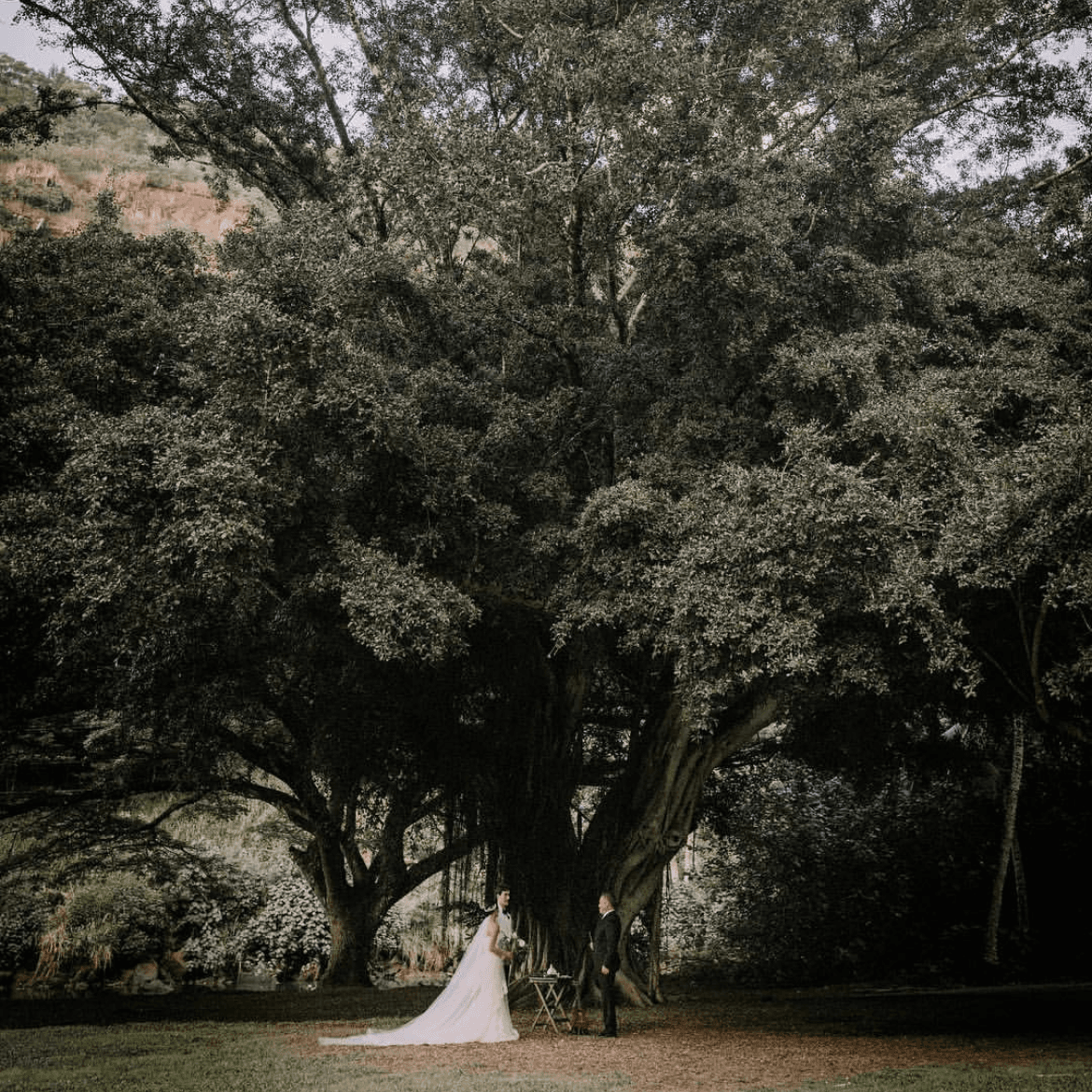 Kualoa Private Nature Reserve