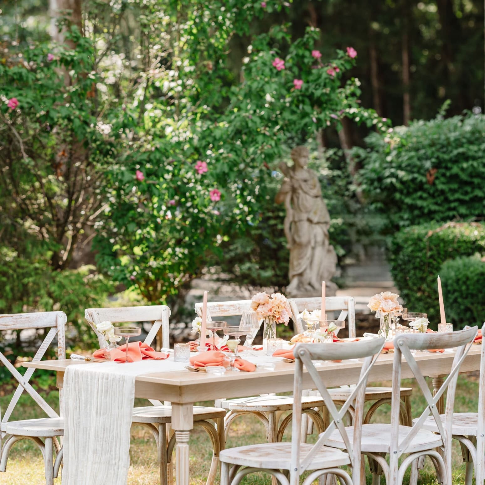Deluxe Party Rentals