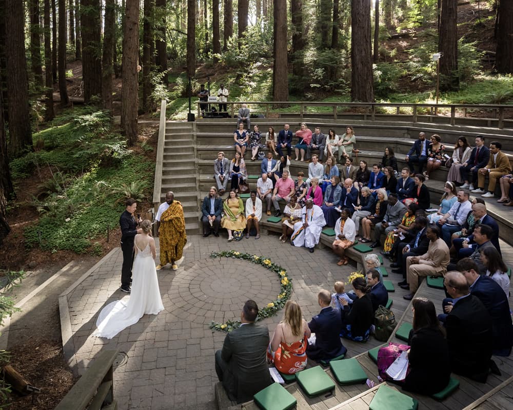 Mather Redwood Grove and Amphitheater