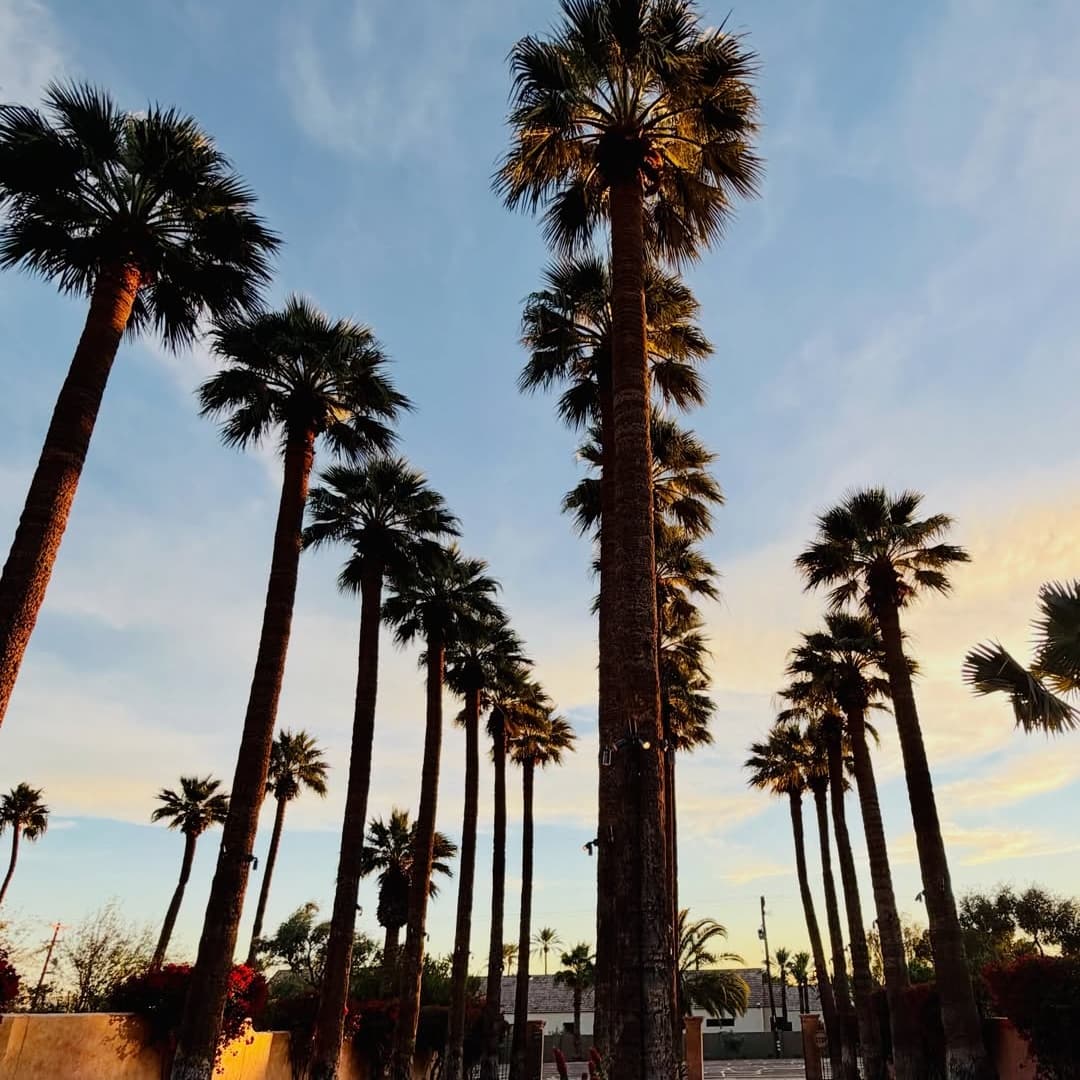 Royal Palms Resort & Spa