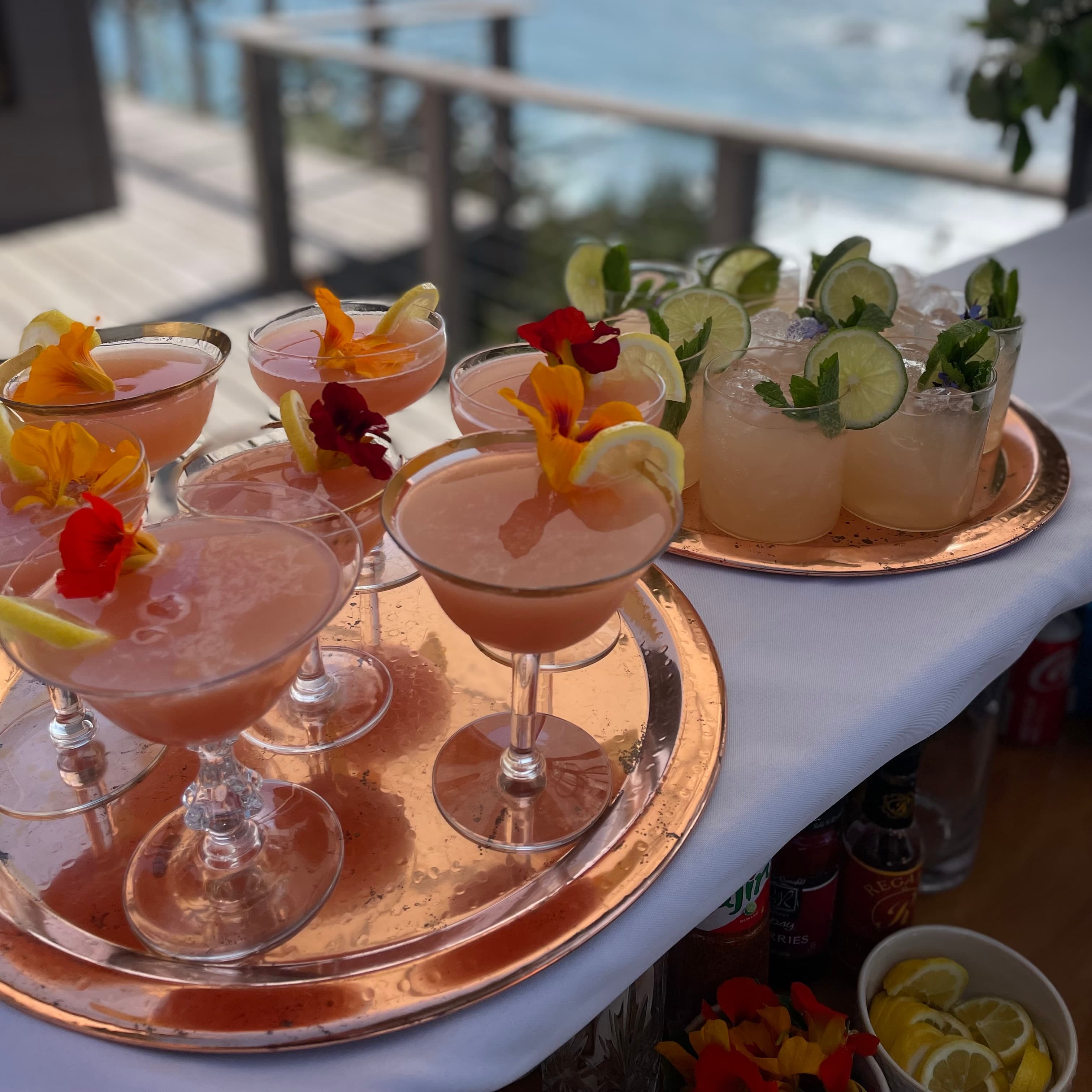 WildCraft Cocktails 40ppl