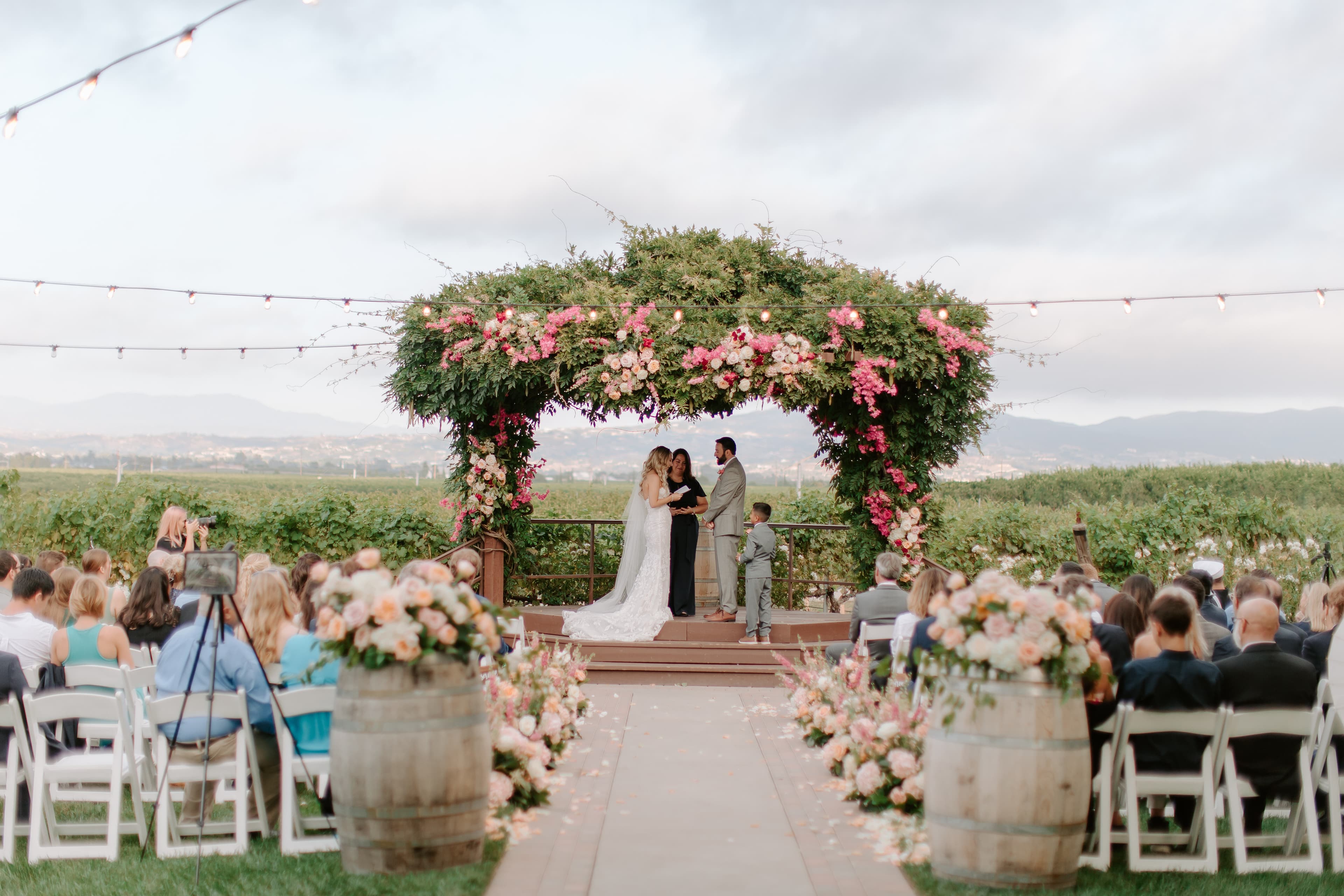 Vineyard Lawn