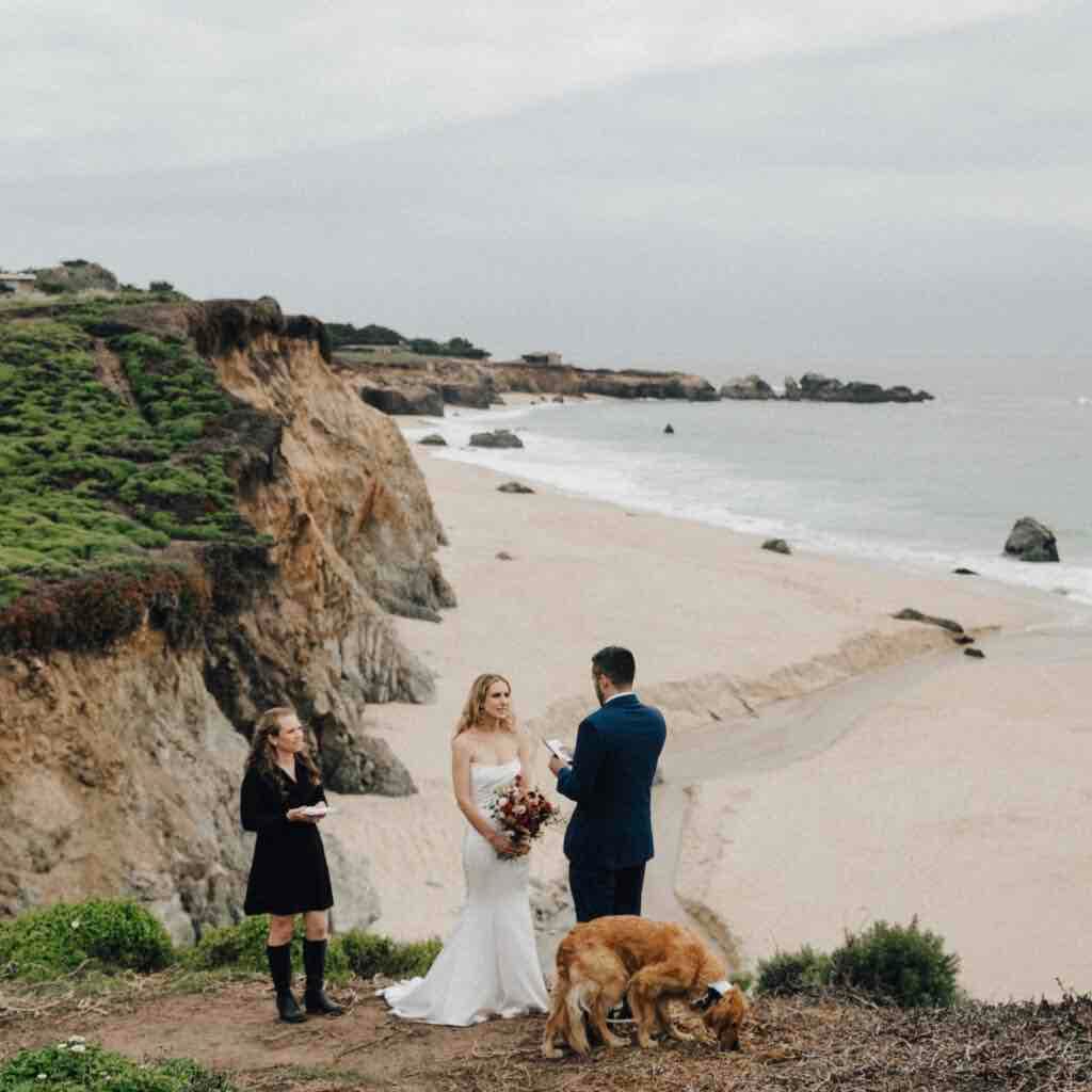 Wedding | Collection 1