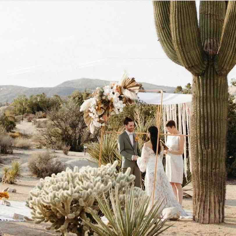 Wedding in the Desert portfolio 3