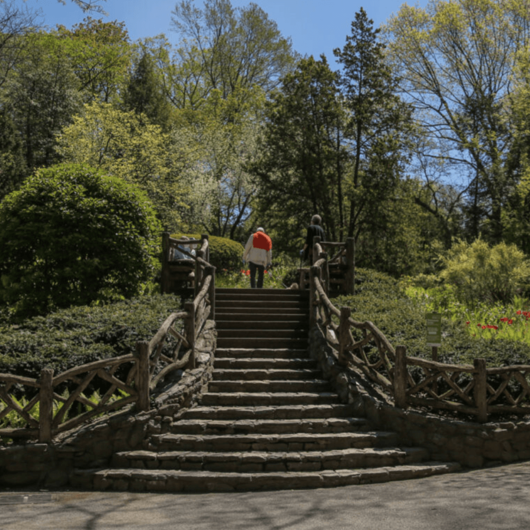 Shakespeare Garden | Central Park Elopement 2