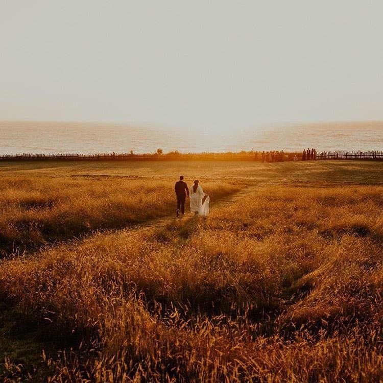 Switzer Farm portfolio 2