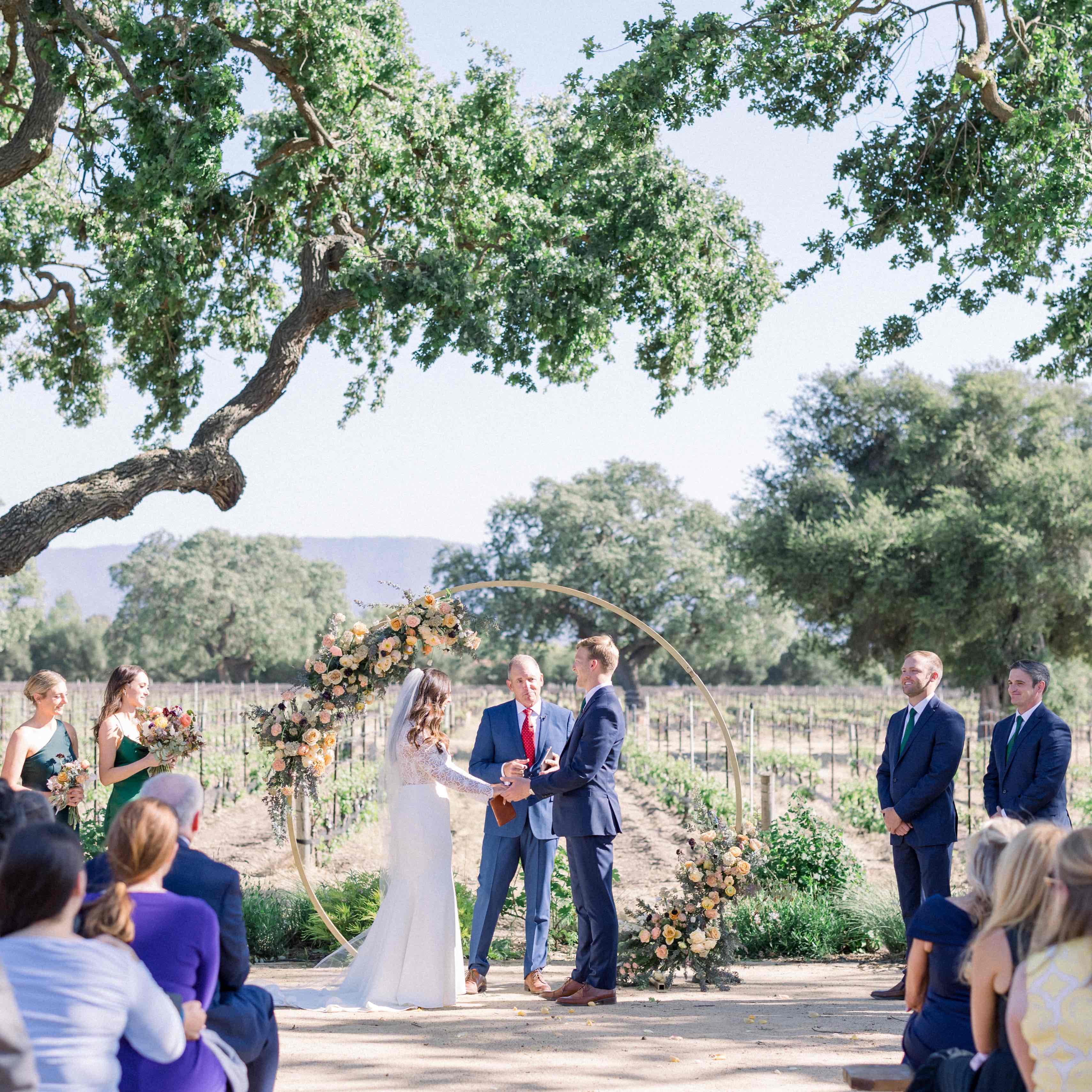 Roblar Winery And Vineyard  portfolio 3