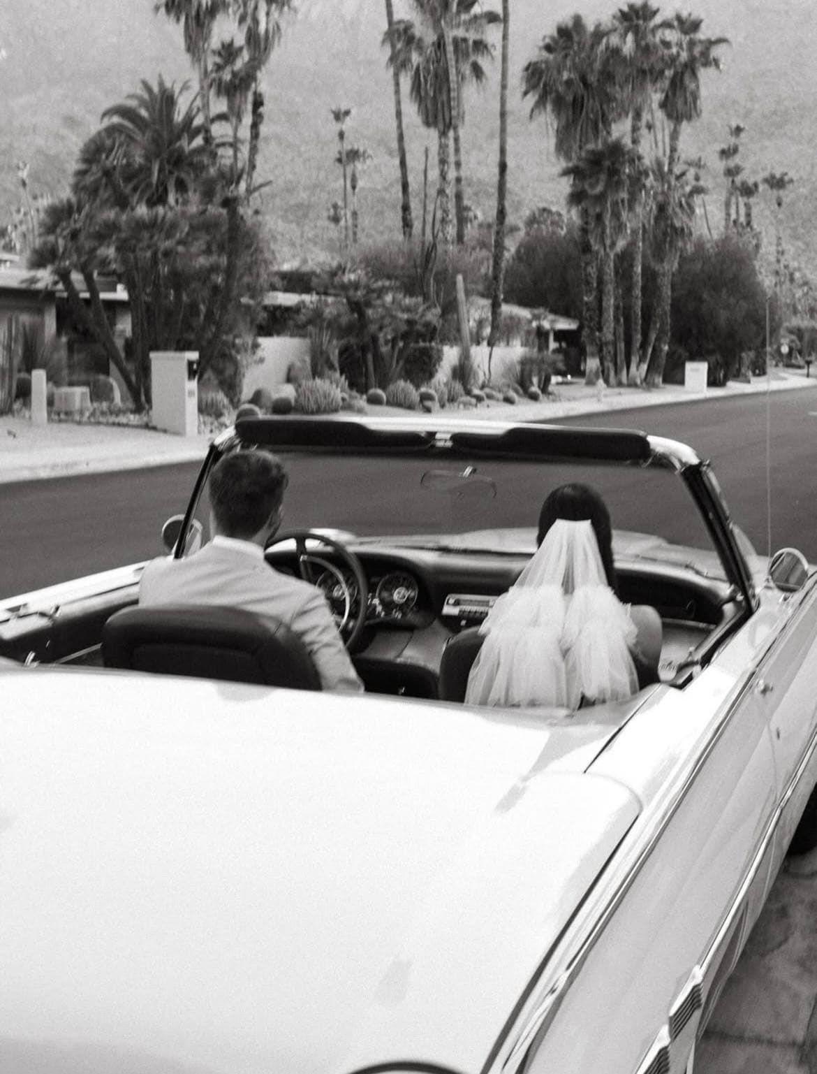 Rebecca & Dylan’s Palm Springs Wedding✨ portfolio 9