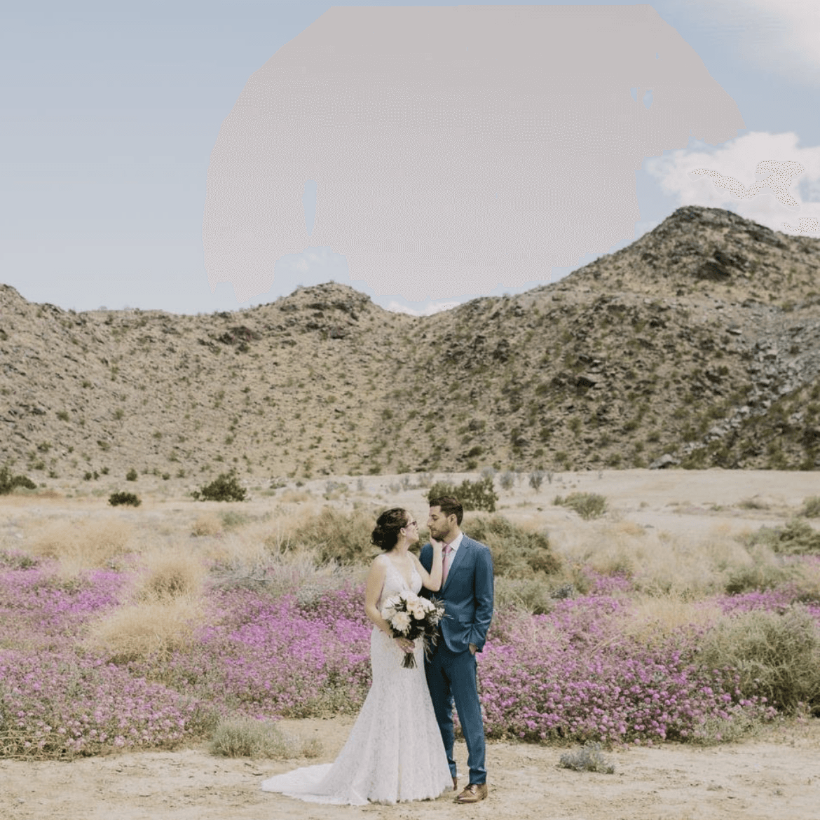 Let's Frolic Together portfolio 2