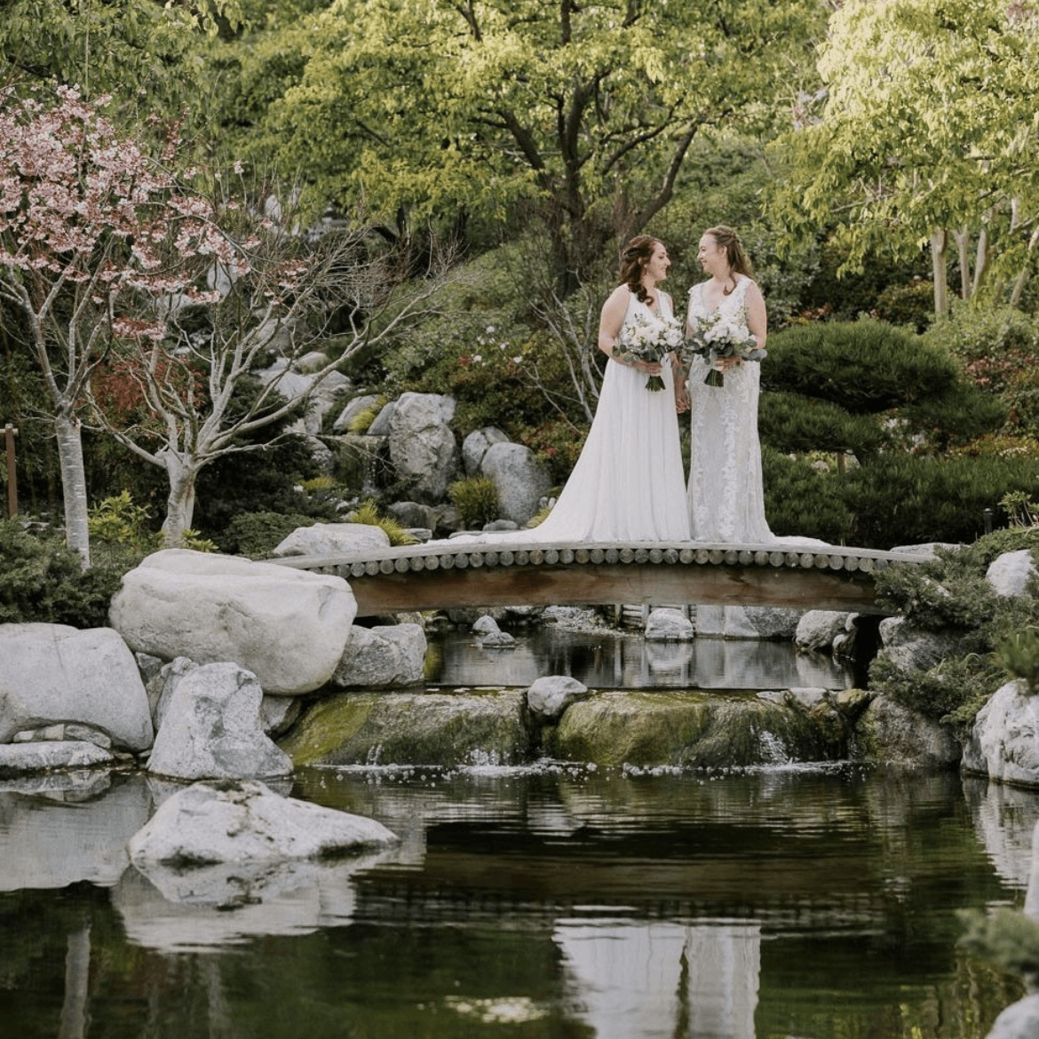 Let's Frolic Together portfolio 5