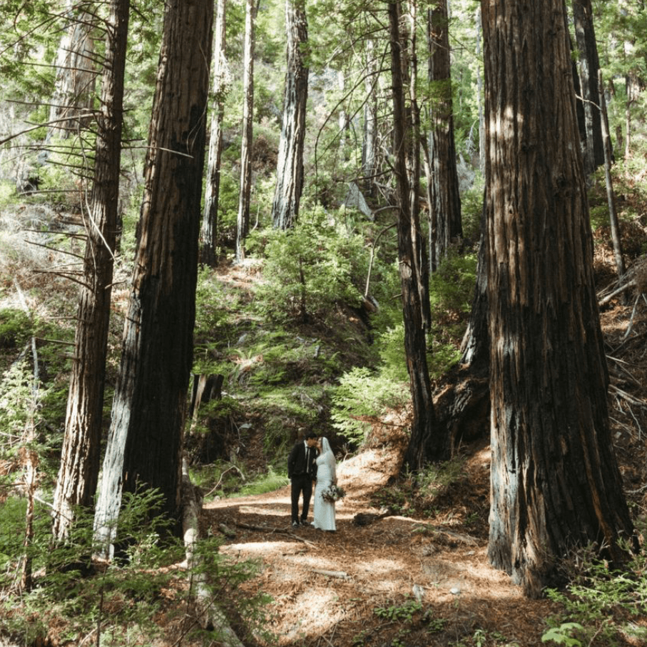 Rise In Love Photography  portfolio 3