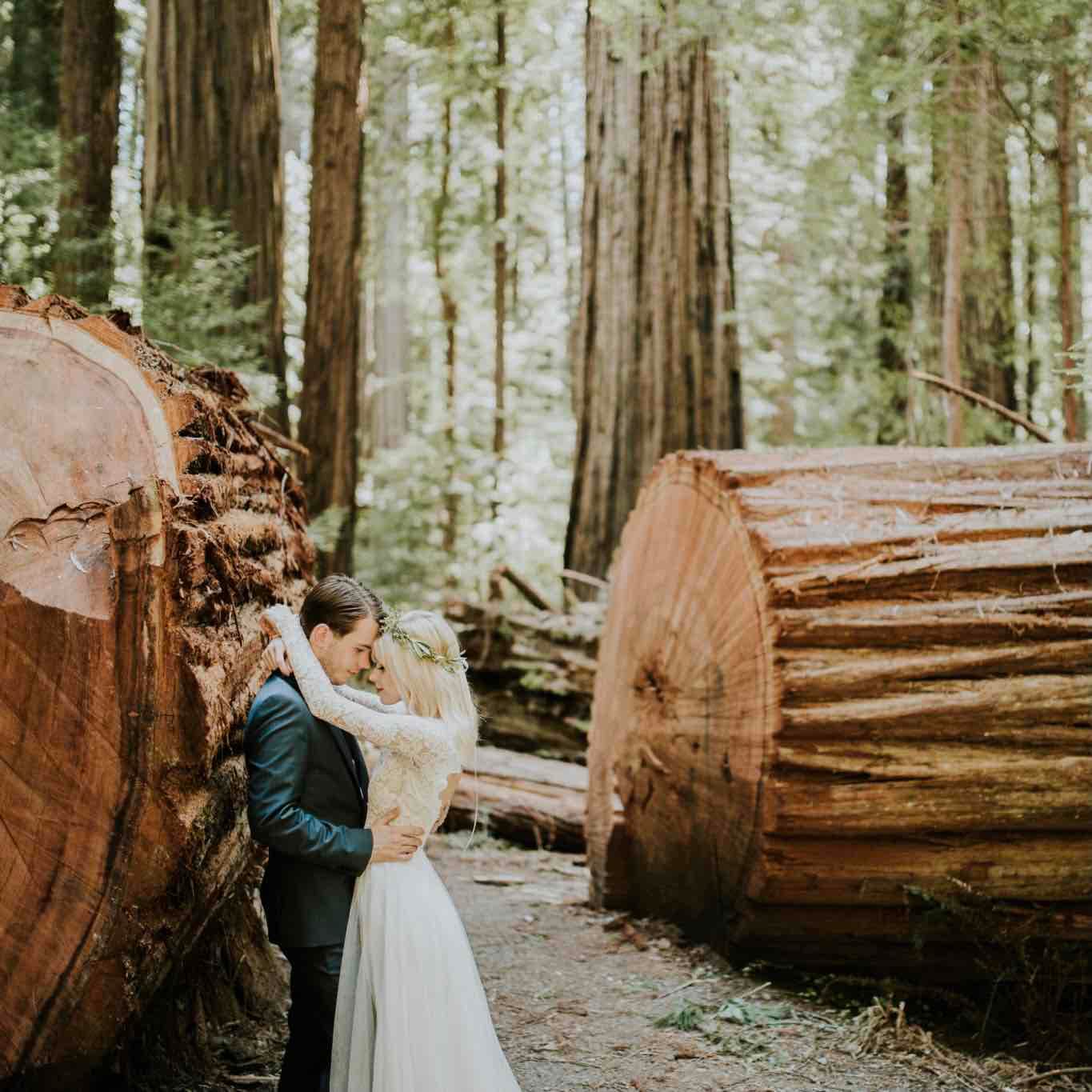 Redwoods Forest Elopement — main