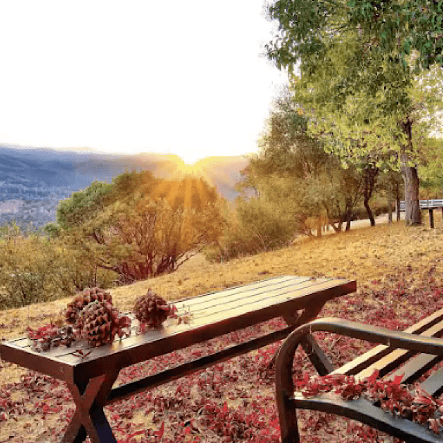 Stunning Yosemite Gold Rush Ranch House